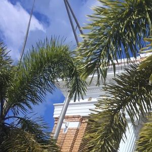 Meet your Posher, Renee